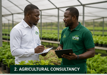 Agricultural consultancy — UFDB consultants advising a client inside a nursery greenhouse