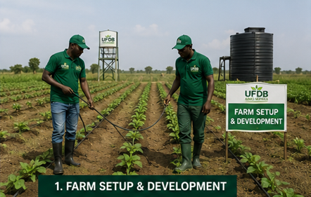 Farm setup & development — UFDB agronomists inspecting young crops on an established farm
