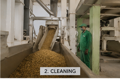 Step 2 — cleaning the harvested paddy