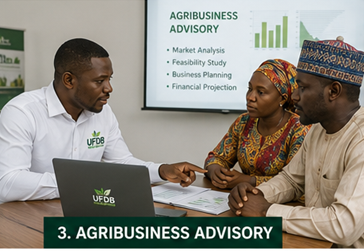 UFDB Agric Services advisor presenting market analysis and business planning to clients during an agribusiness advisory session